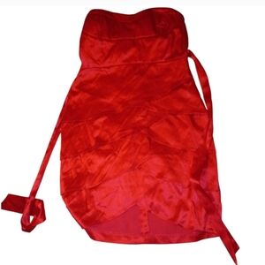 Body Central Red Satin Chemise Slip
